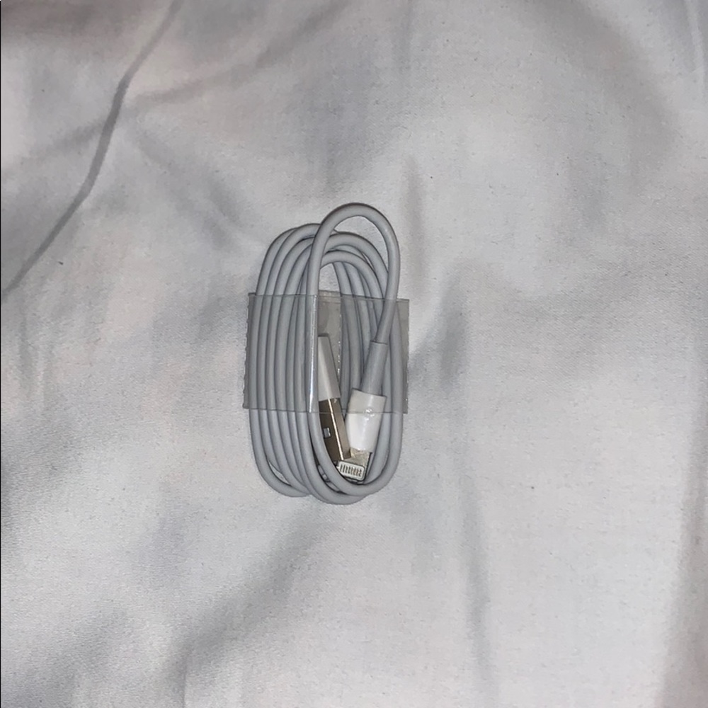 iPhone Charger (White)